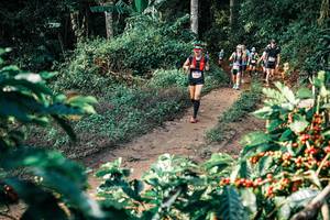 BIB: 
                            <button type="button" onclick="openModal(25838291)" class="btn btn-primary btn-sm float-right btn-popup" data-toggle="modal" data-target=".modal-high-quality">
                        <i class="fas fa-shopping-cart"></i> Add to Cart
                    </button>
                                            <button type="button" onclick="isThisMe(25838291, true)" class="btn btn-success btn-sm float-right btn-popup btn-isme hidden" data-toggle="tooltip" data-placement="bottom" title="นี่คือรูปของคุณใช่ไหม คลิกที่นี่เพื่อเอาเข้าอัลบั้ม">
                        <i class="fas fa-plus"></i> Add to album
                    </button>
                    <button type="button" onclick="isThisMe(25838291, false)" class="btn btn-warning btn-sm float-right btn-popup btn-isnotme hidden">
                        <i class="fas fa-ban"></i> Remove from album
                    </button>